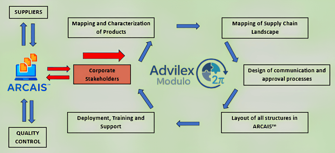 Advilex Modulo Process Analysis